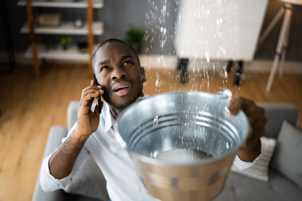 Best Local water damage restoration  in Niceville, FL