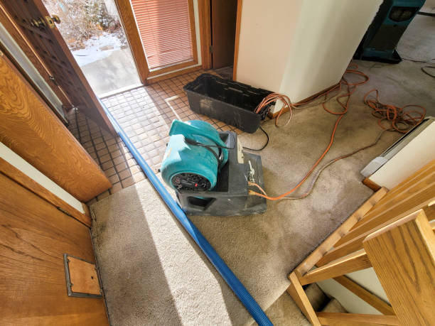 Best Water damage restoration near me  in Niceville, FL
