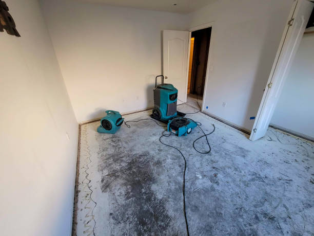 Water damage restoration insurance claims in Niceville, FL