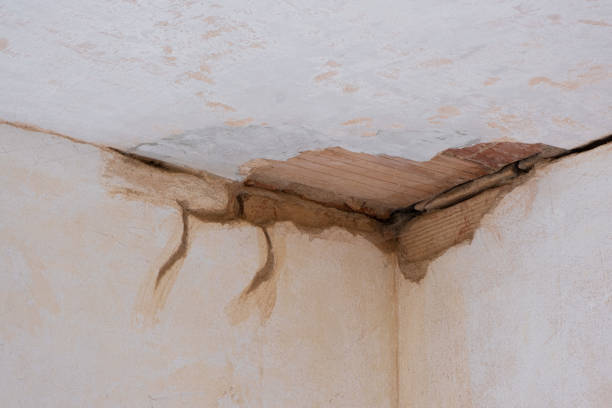  Niceville, FL Water damage restoration Pros