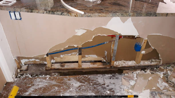 Best Water damage restoration insurance claims  in Niceville, FL