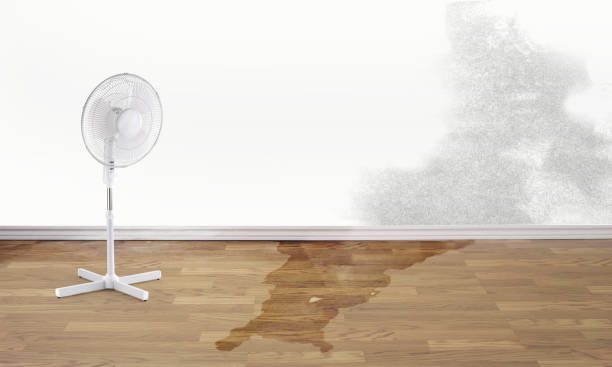 Best Sewage cleanup and water damage restoration  in Niceville, FL