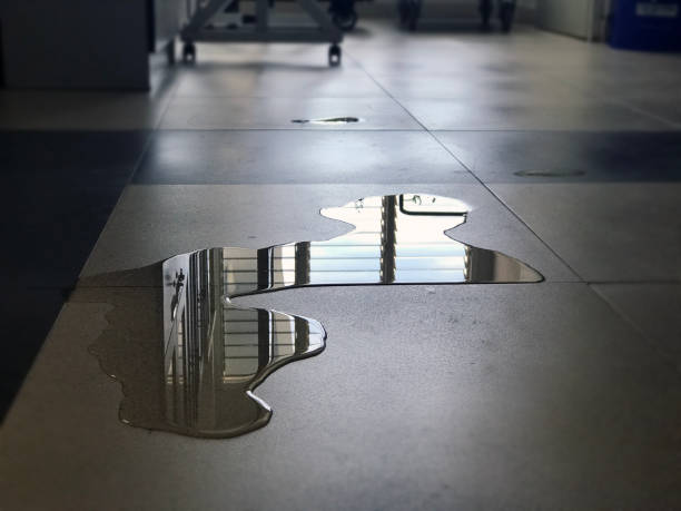 Best Professional water damage repair  in Niceville, FL