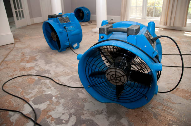 Best 24-hour water damage restoration  in Niceville, FL