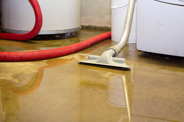 Best Carpet water damage restoration  in Niceville, FL