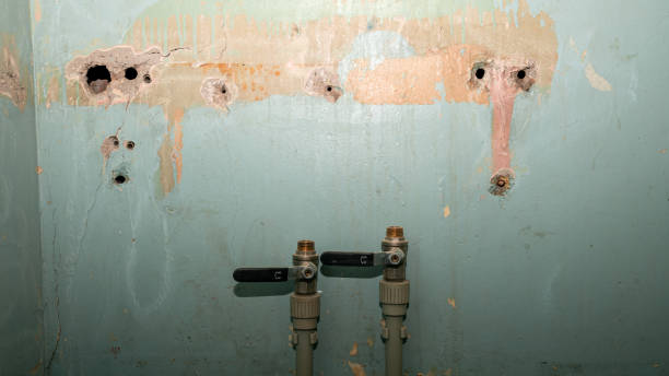 Best Sewage cleanup and water damage restoration  in Niceville, FL