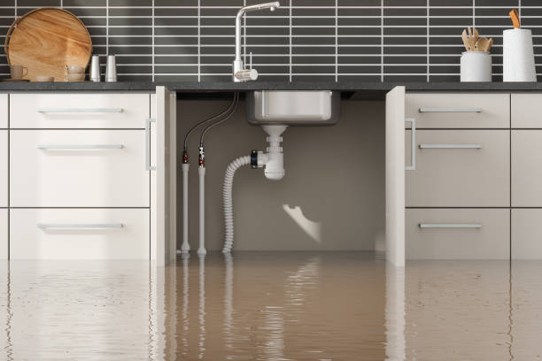 Best Fire Damage Restoration  in Niceville, FL