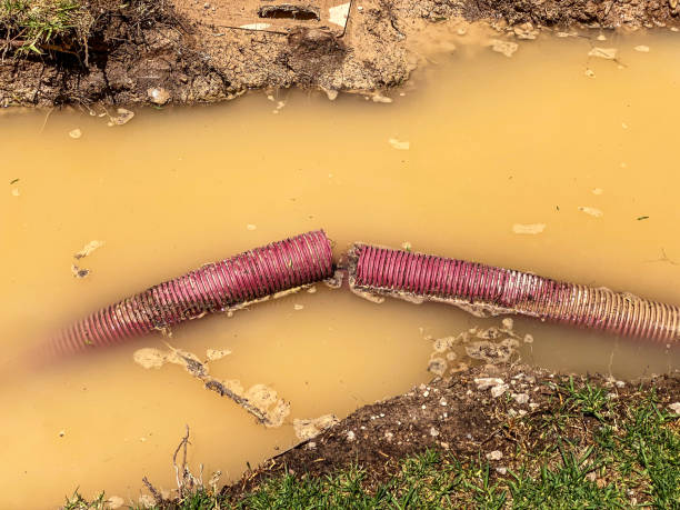 Best Water damage restoration company  in Niceville, FL